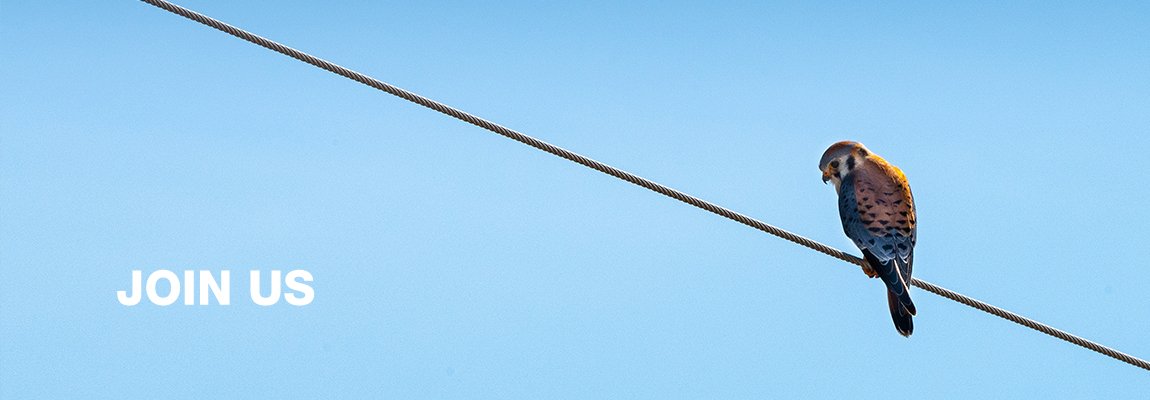 加入創(chuàng)品